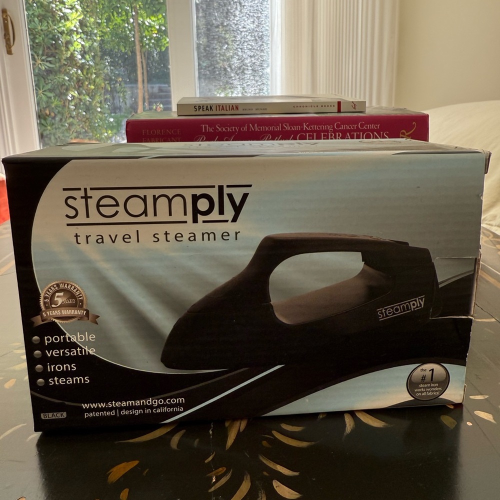 Black Travel Steamer